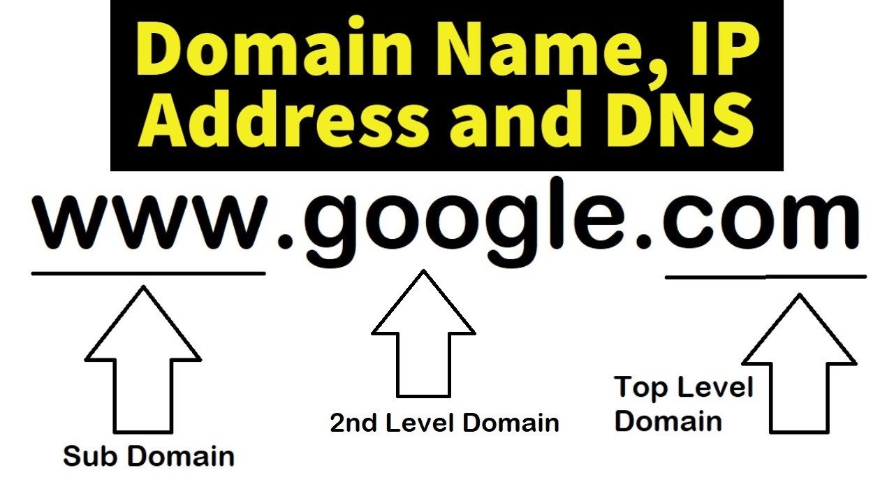 How To Find IP Address Of Any Domain Name Hostinger Web